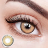 Chestnut Aura Brown | 1 Year