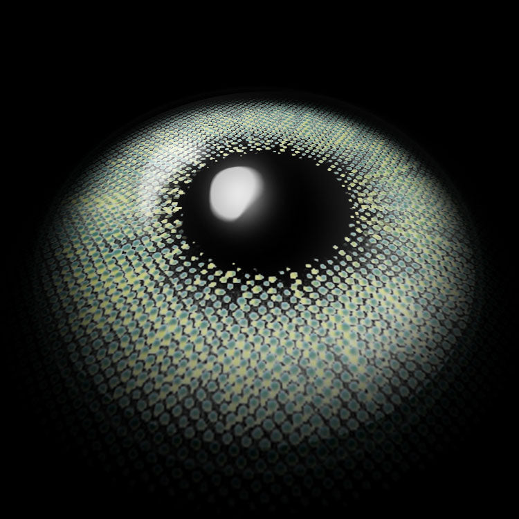 Evil Green | 1 Year