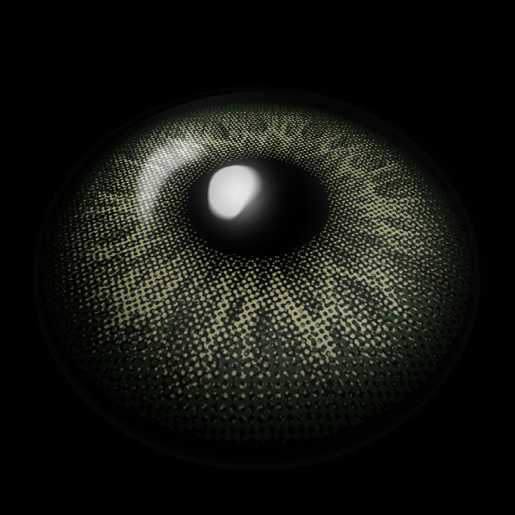 Deep Moss Green | 6 Months