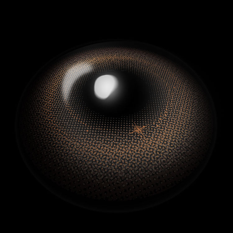 Eros Brown | 6 Months