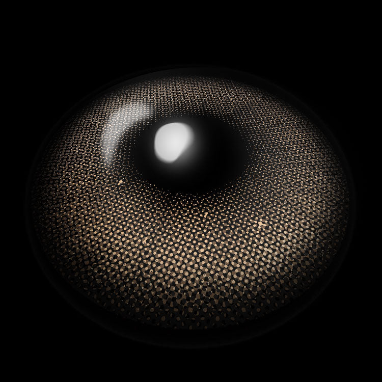 【Prescription】Ethereal Brown | 6 Months