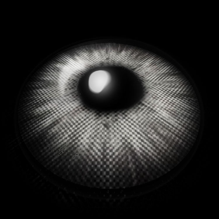 New York Gray | 1 Year