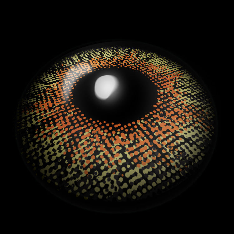 Mystic Yellow | 1 Year