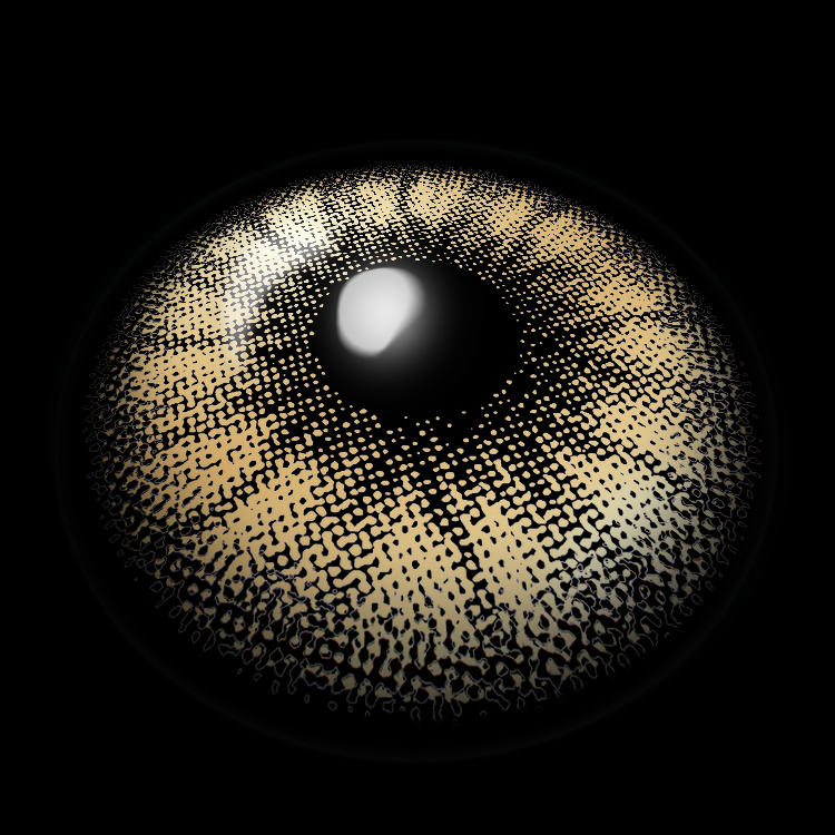 Eternity Brown | 1 Year